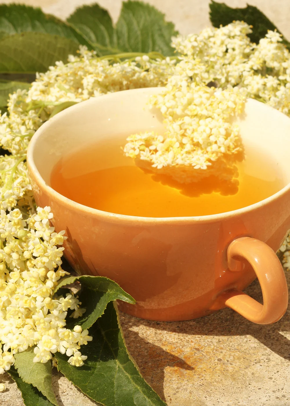 Cup of Elder Tea