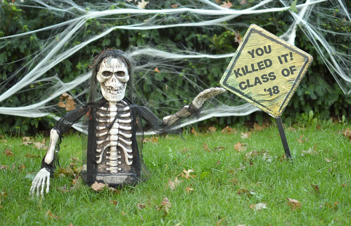 Scary Skeleton Halloween