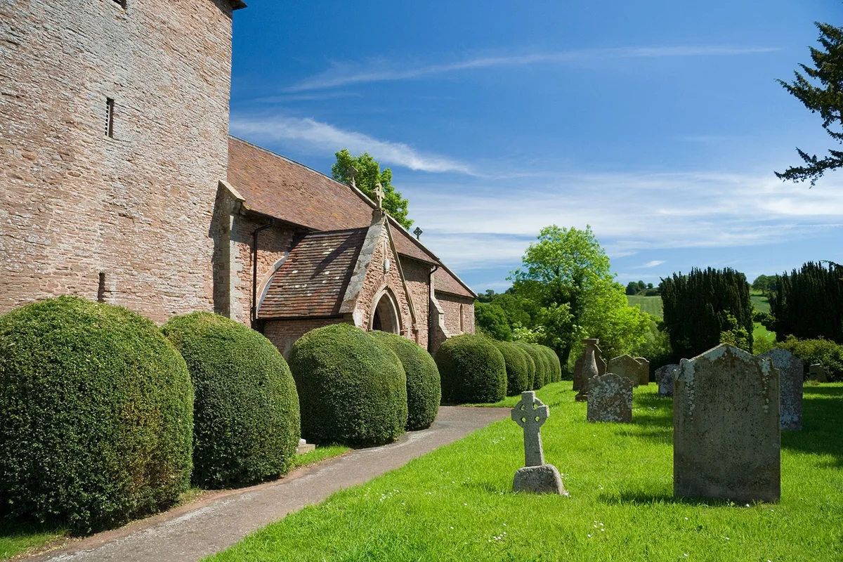 Yew trees trimmed round