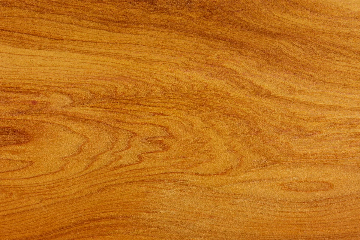 Yew tree wood panel
