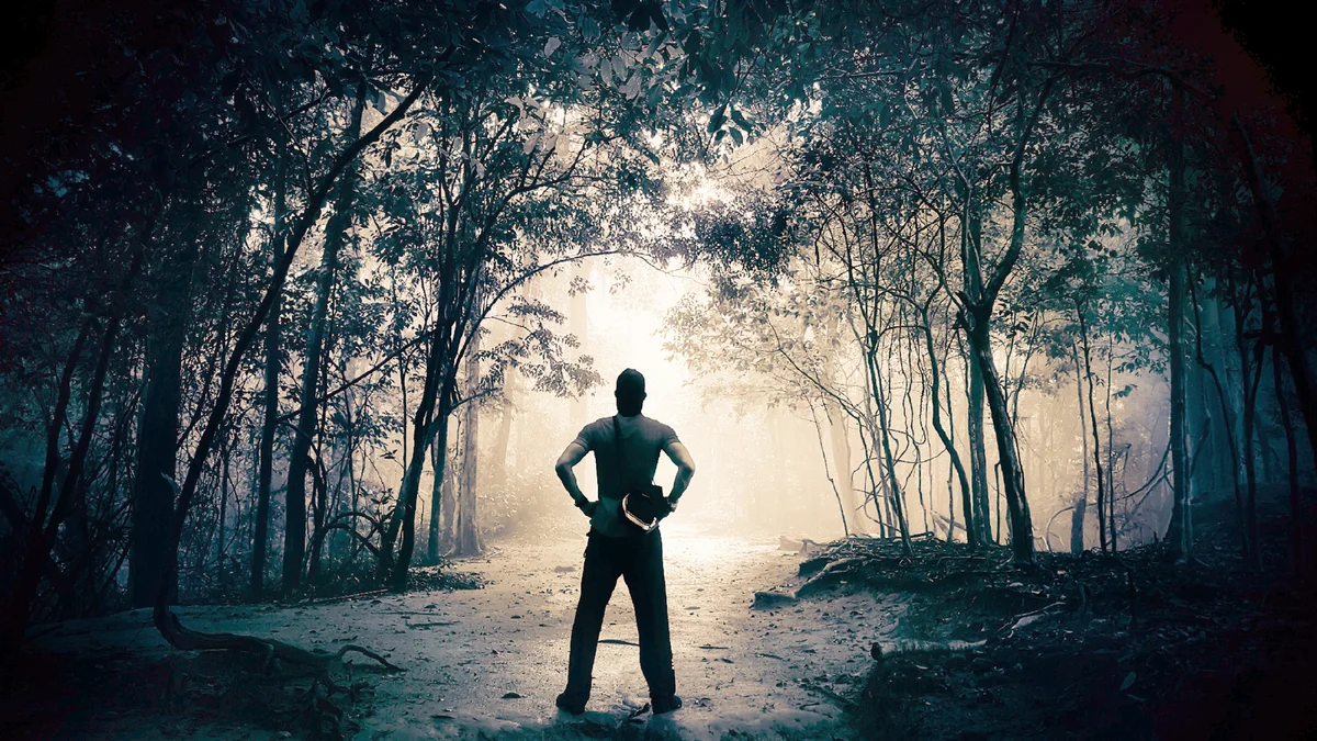 Rear View Of Man Standing In Forest
