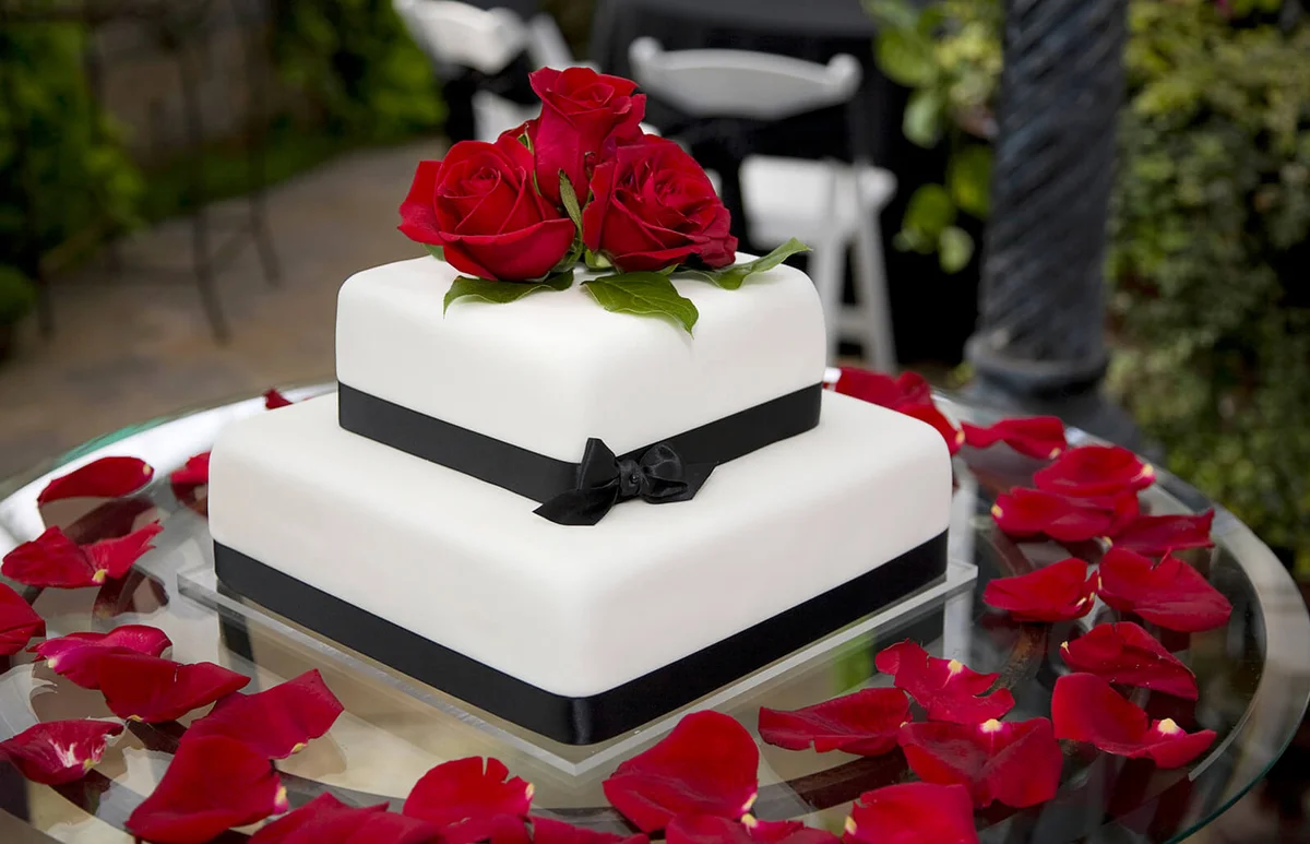 Fresh Red Rose Flowers