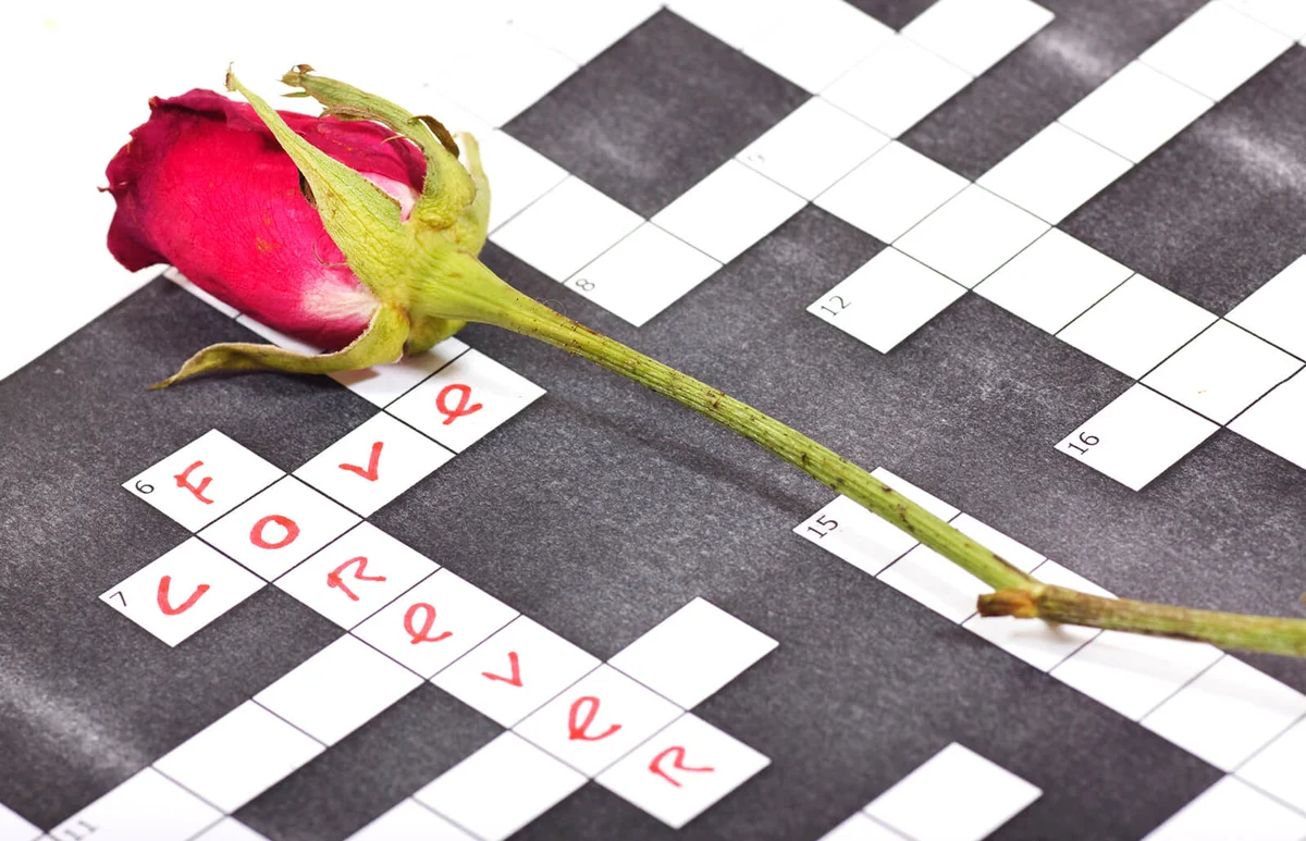 Dry pink red rose on a crossword paper