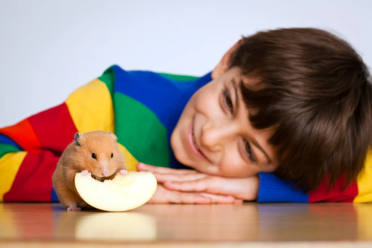 boy watching a mouse eat an apple