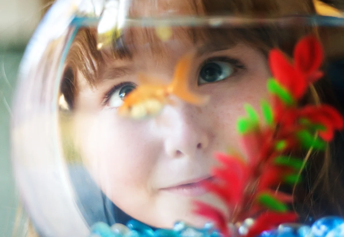 girl looking at goldfish