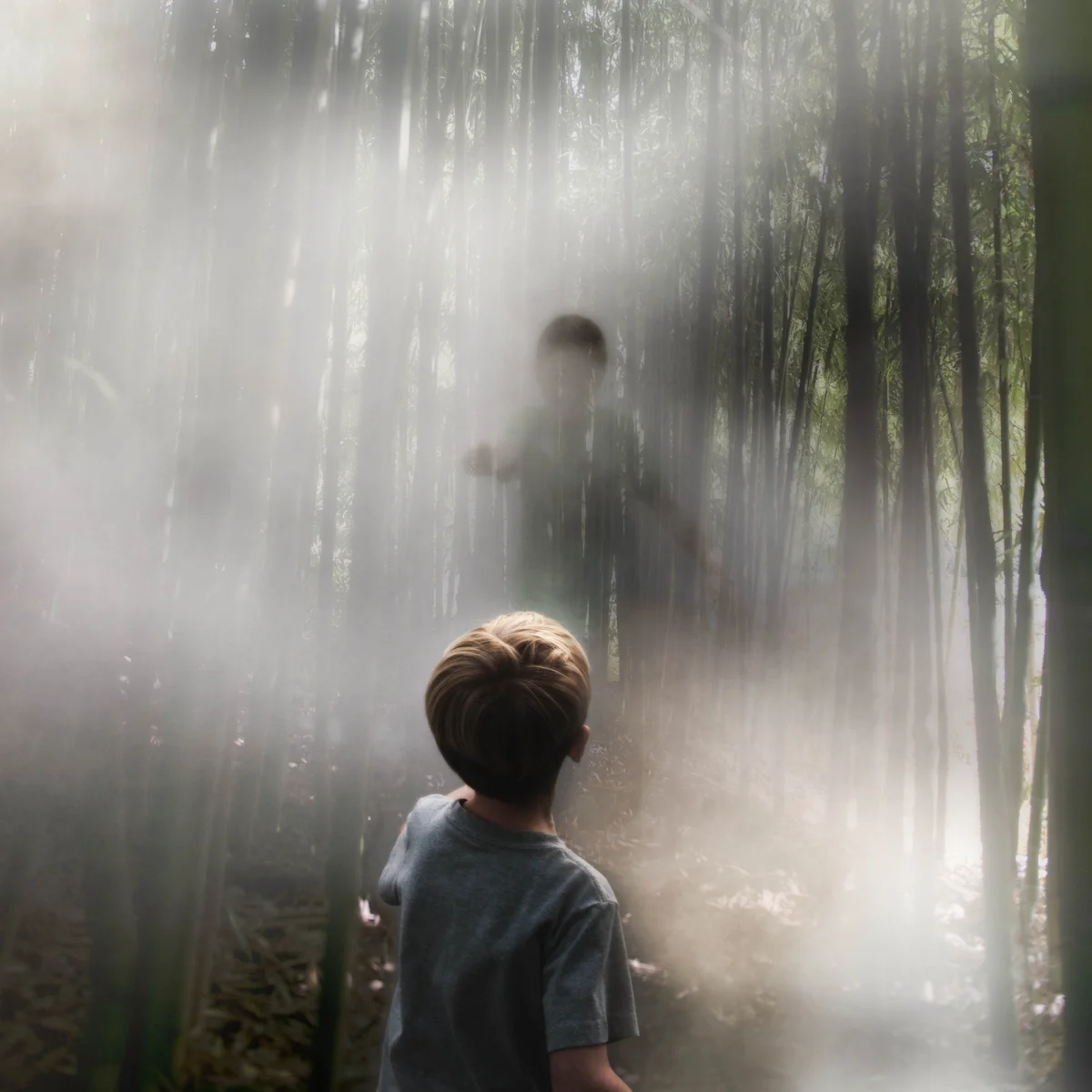 boy in the fog