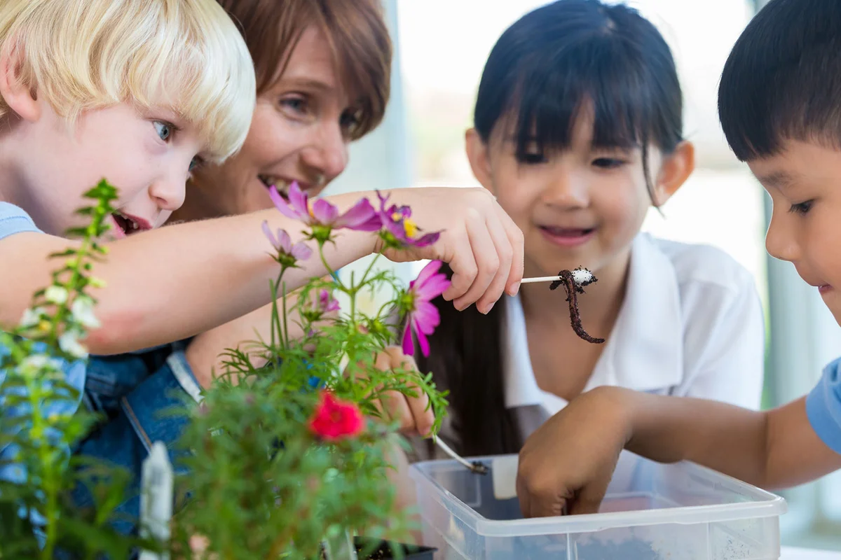 Young children catching worms