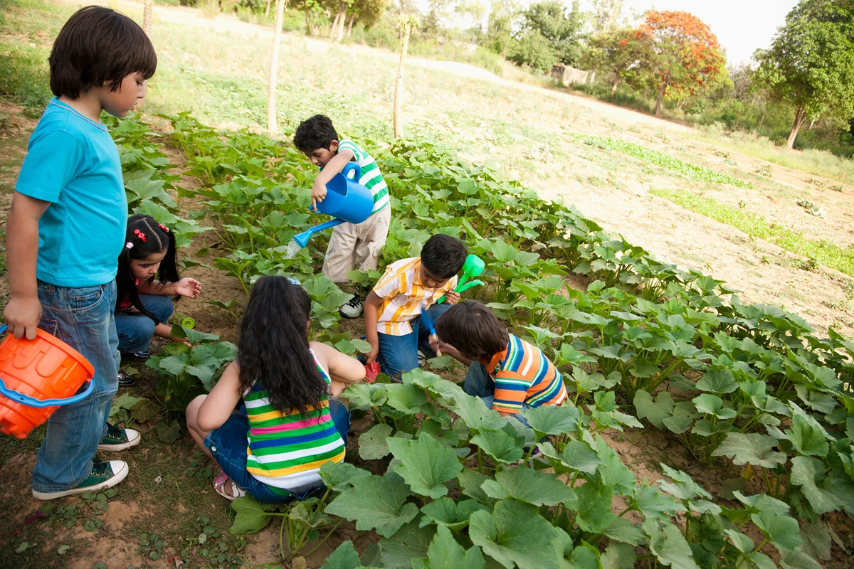 Group of kids gardening