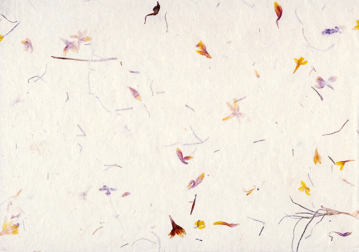 Paper with pressed wildflowers