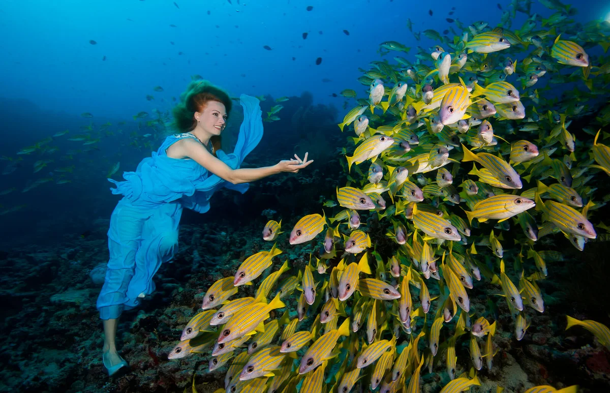 Woman in blue dress with school of fish Bluestripe Snappers