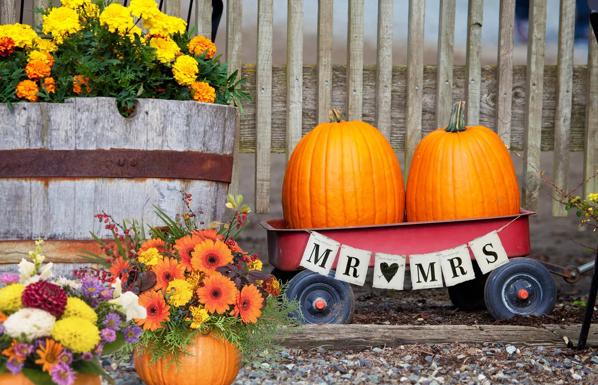 Two Pumpkins Sit In Red Wagon