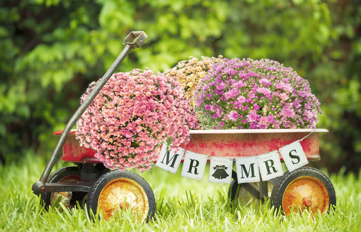 old rusty red toy wagon with flowers in it