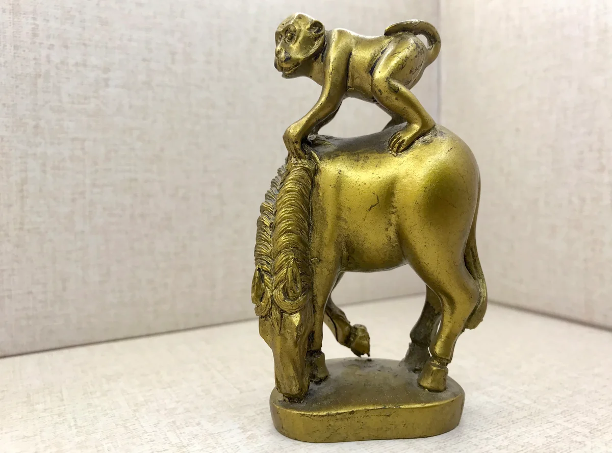 Monkey on the horse