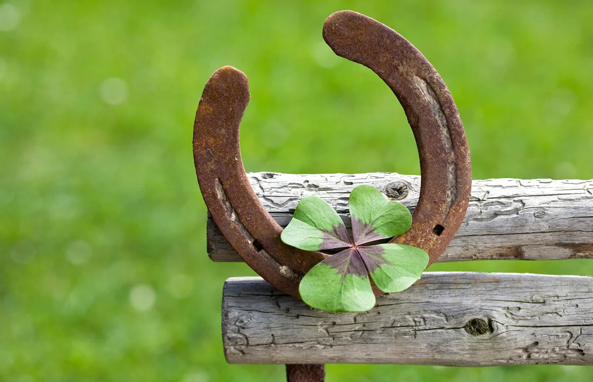 horseshoe and a four-leaf clover symbolizes good wishes