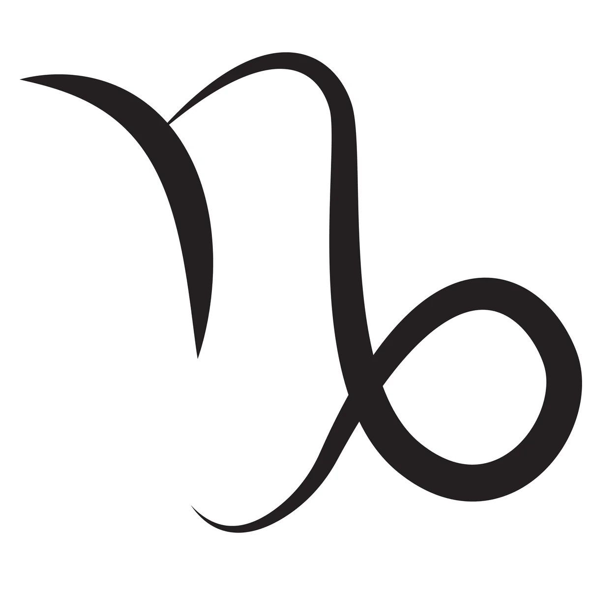 Zodiac Sign - Capricorn