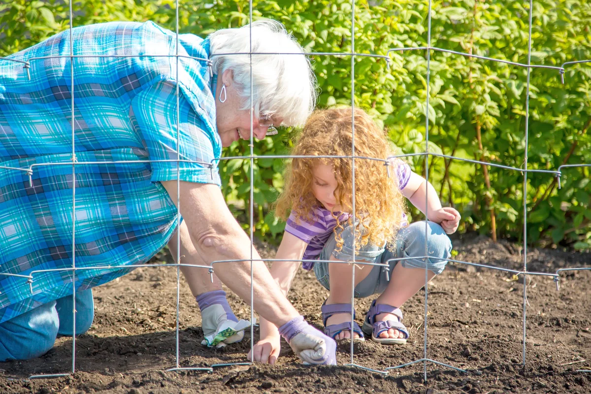 Girl & Grandma Planting Peas in Garden