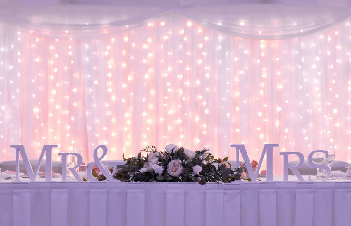 wedding party celebration