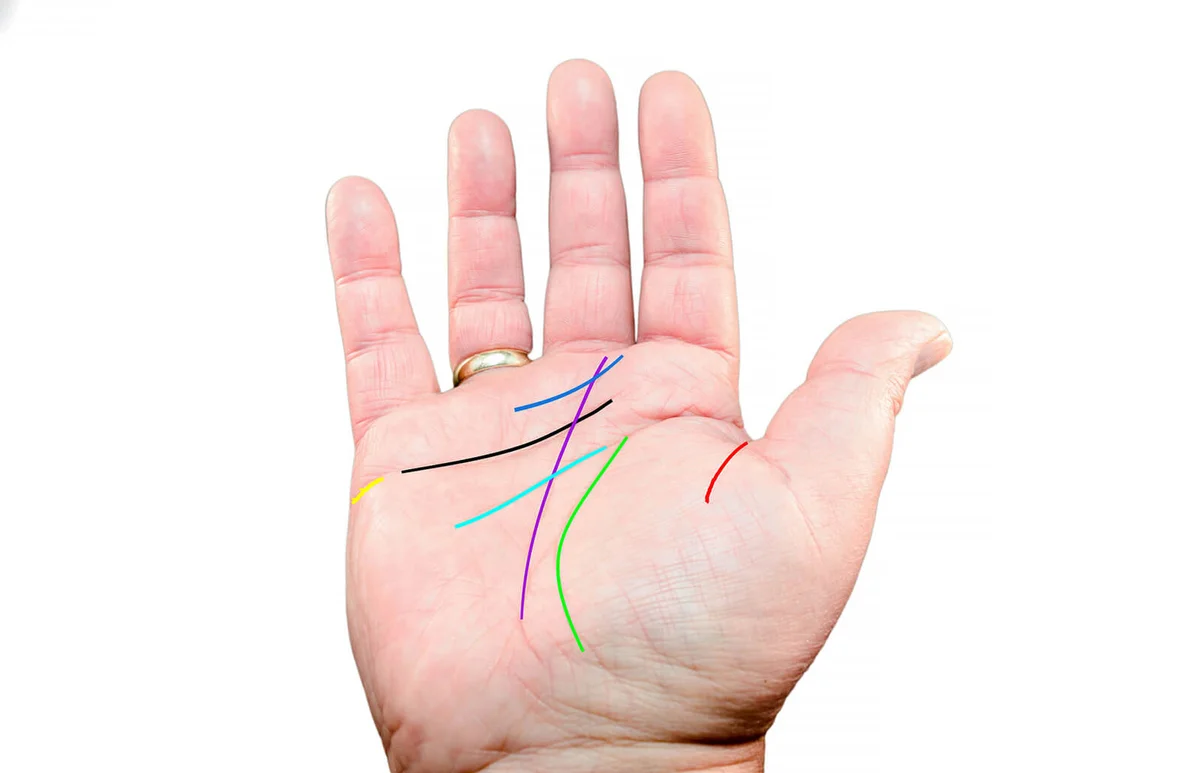 Colorful Lines Marked On Palm