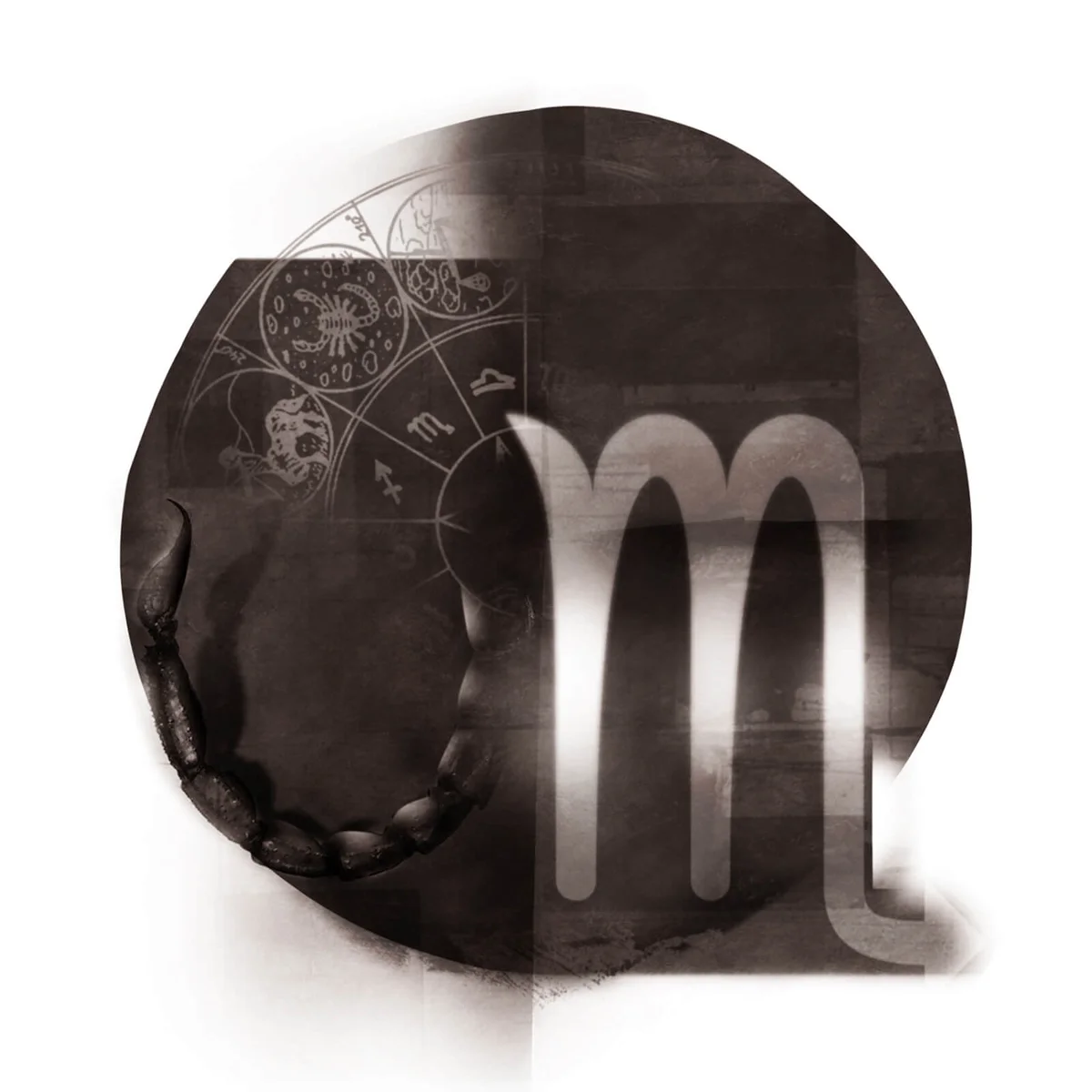 Scorpio Zodiac Sign