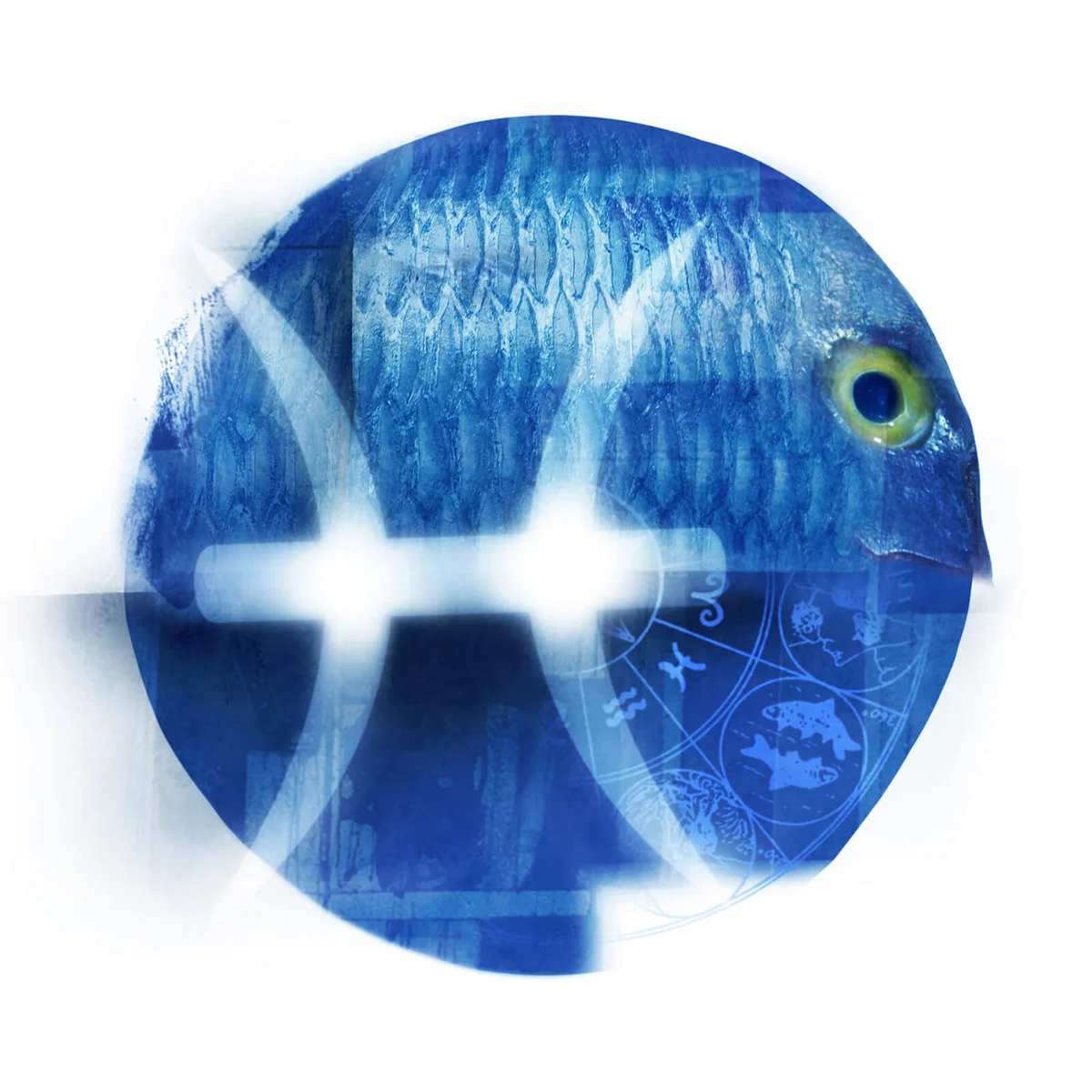 Pisces Zodiac Sign