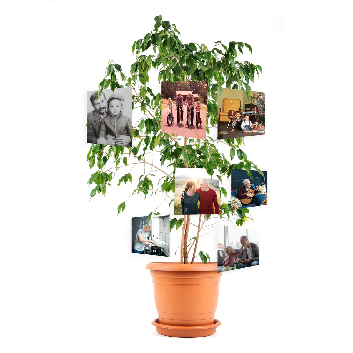 Photo tree