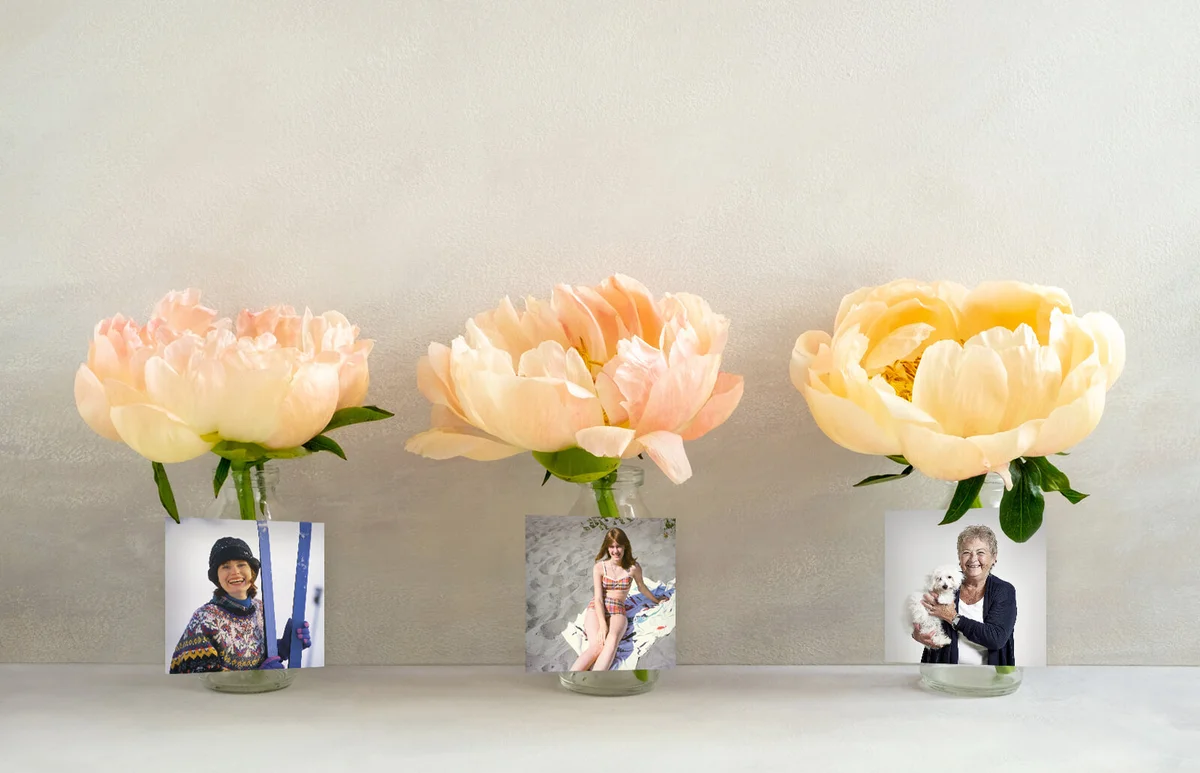 Photos on Vases