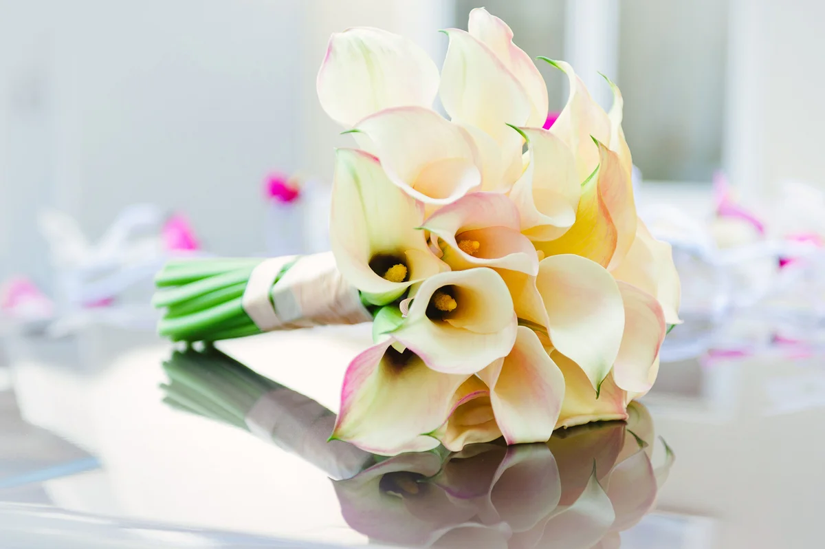 Calla lilies bouquet