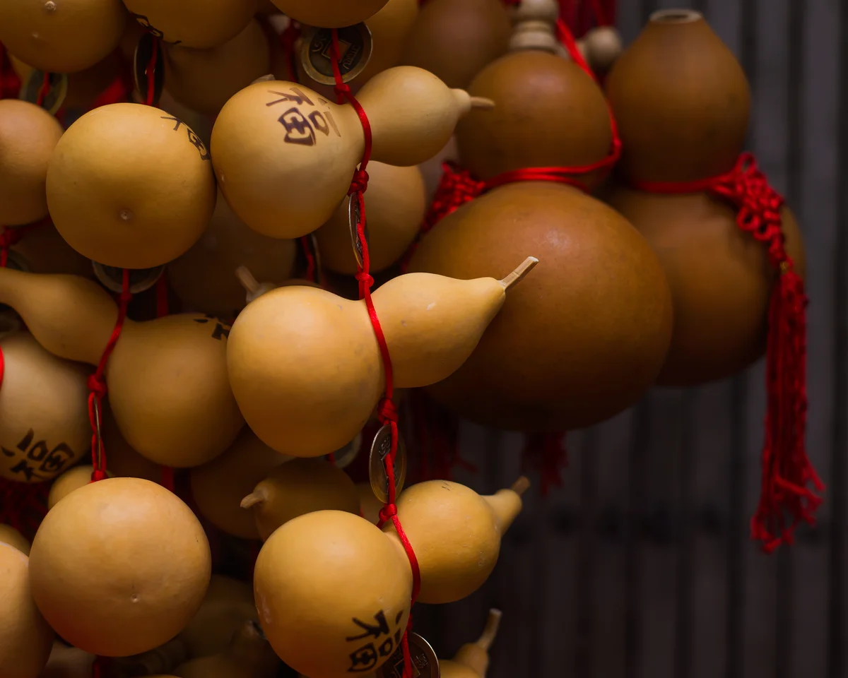 Hanging wu lou gourds