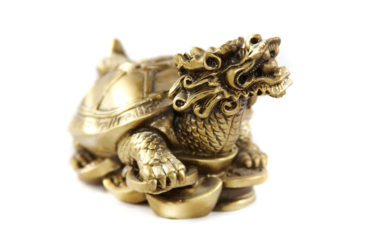 Dragon turtle on coins