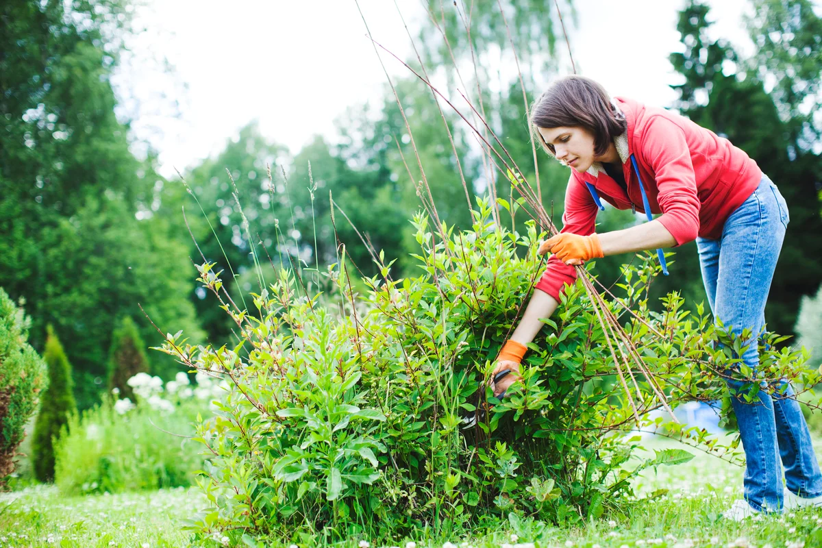 Woman tidying her yard
