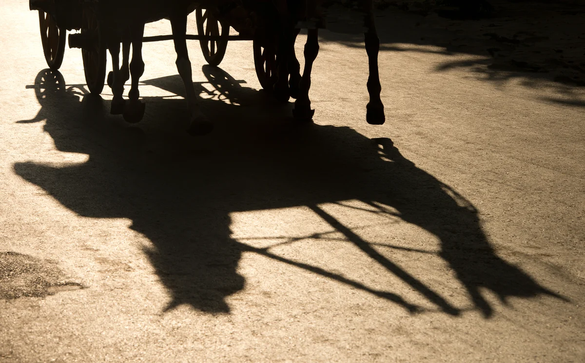 Shadow of a horse and carriage
