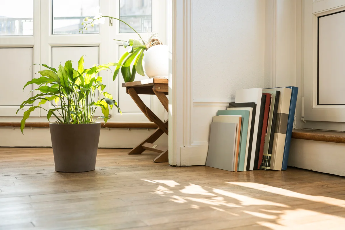 Wood elements in a room