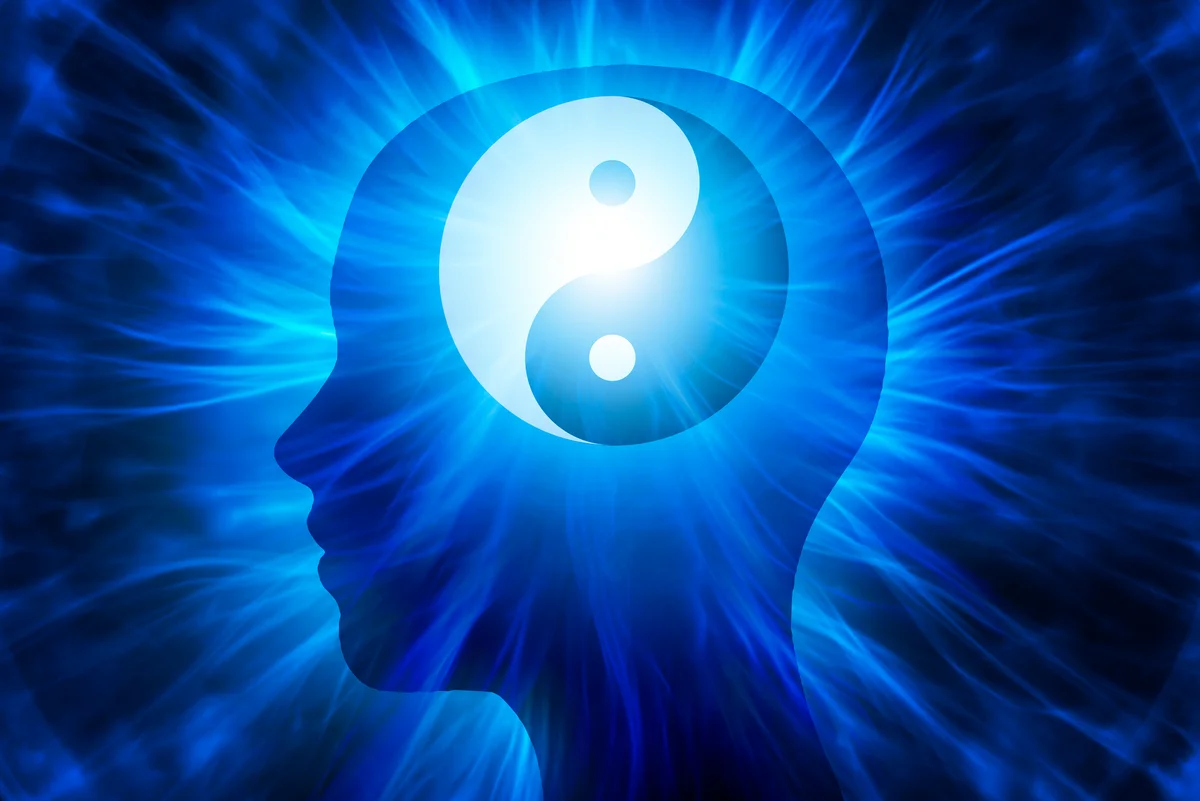 Yin and yang in the brain