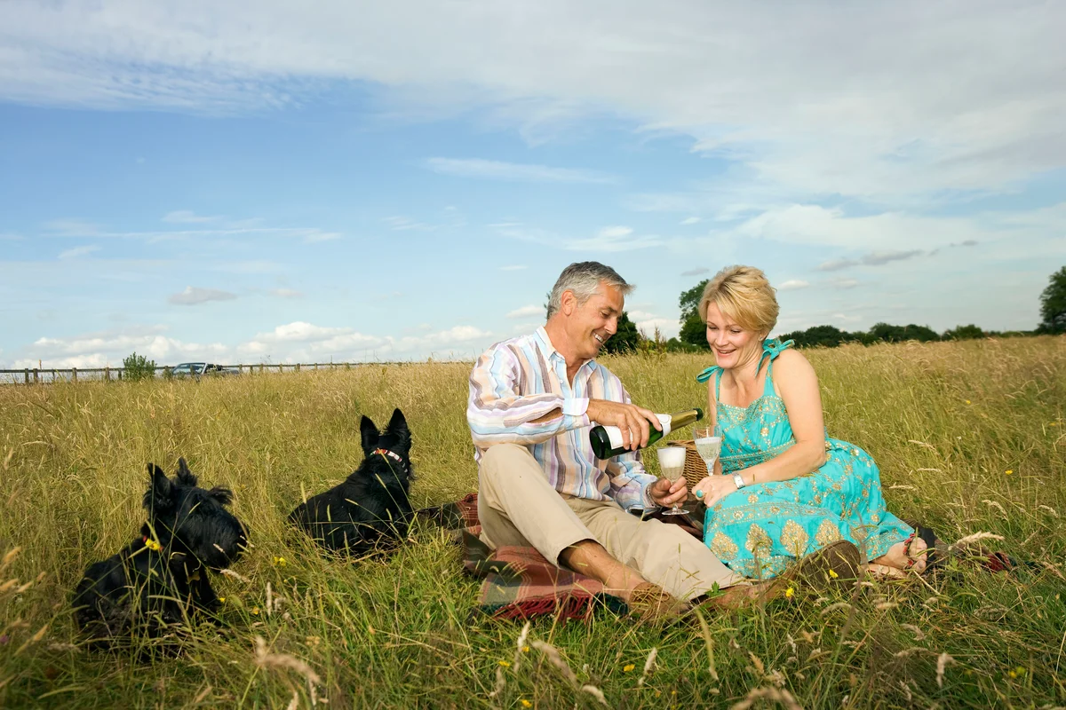 Couple pouring wine at a picnic