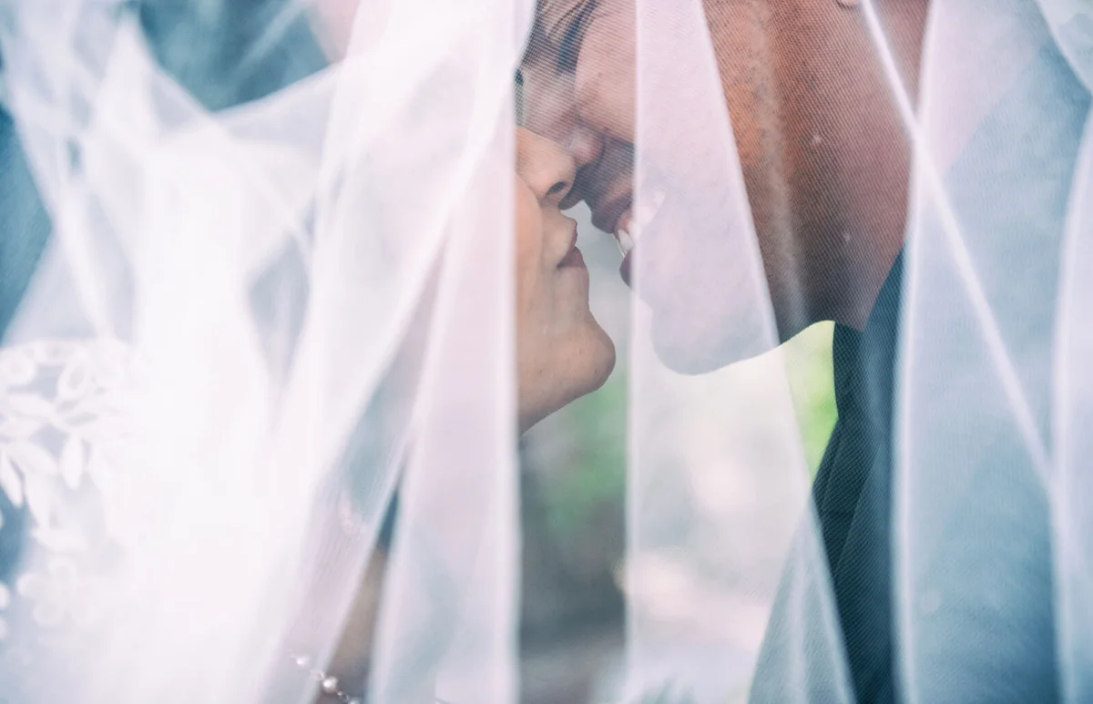 Love and happiness under a wedding veil