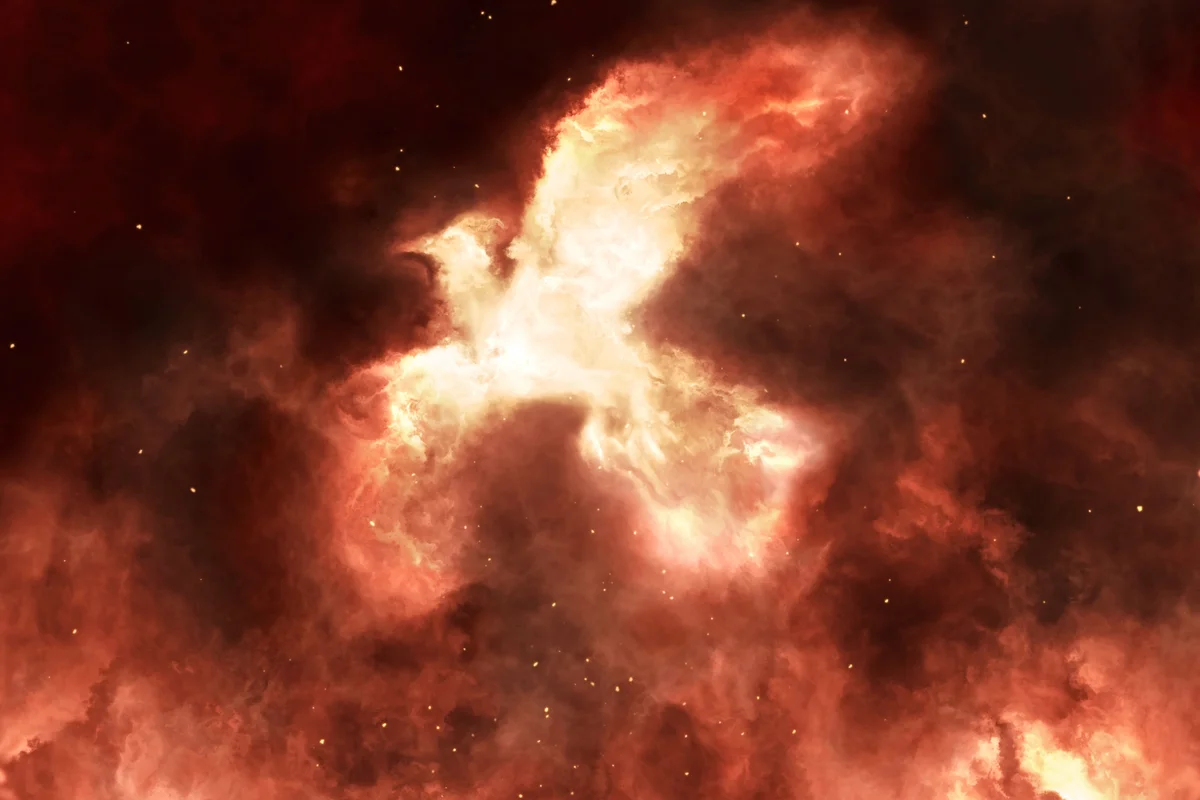 Mythical firebird Phoenix is rising from the flames