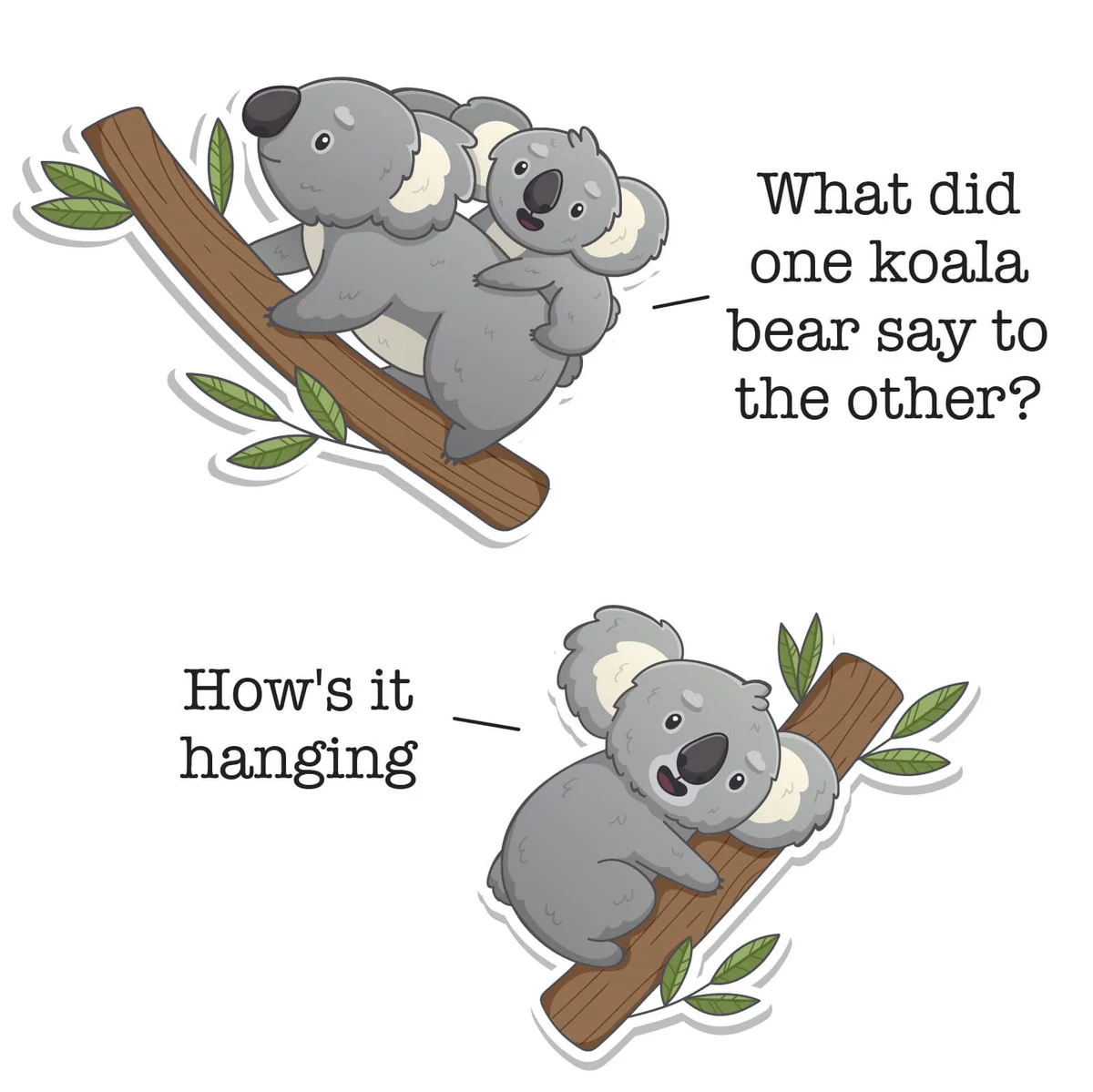 Koala Bear Jokes