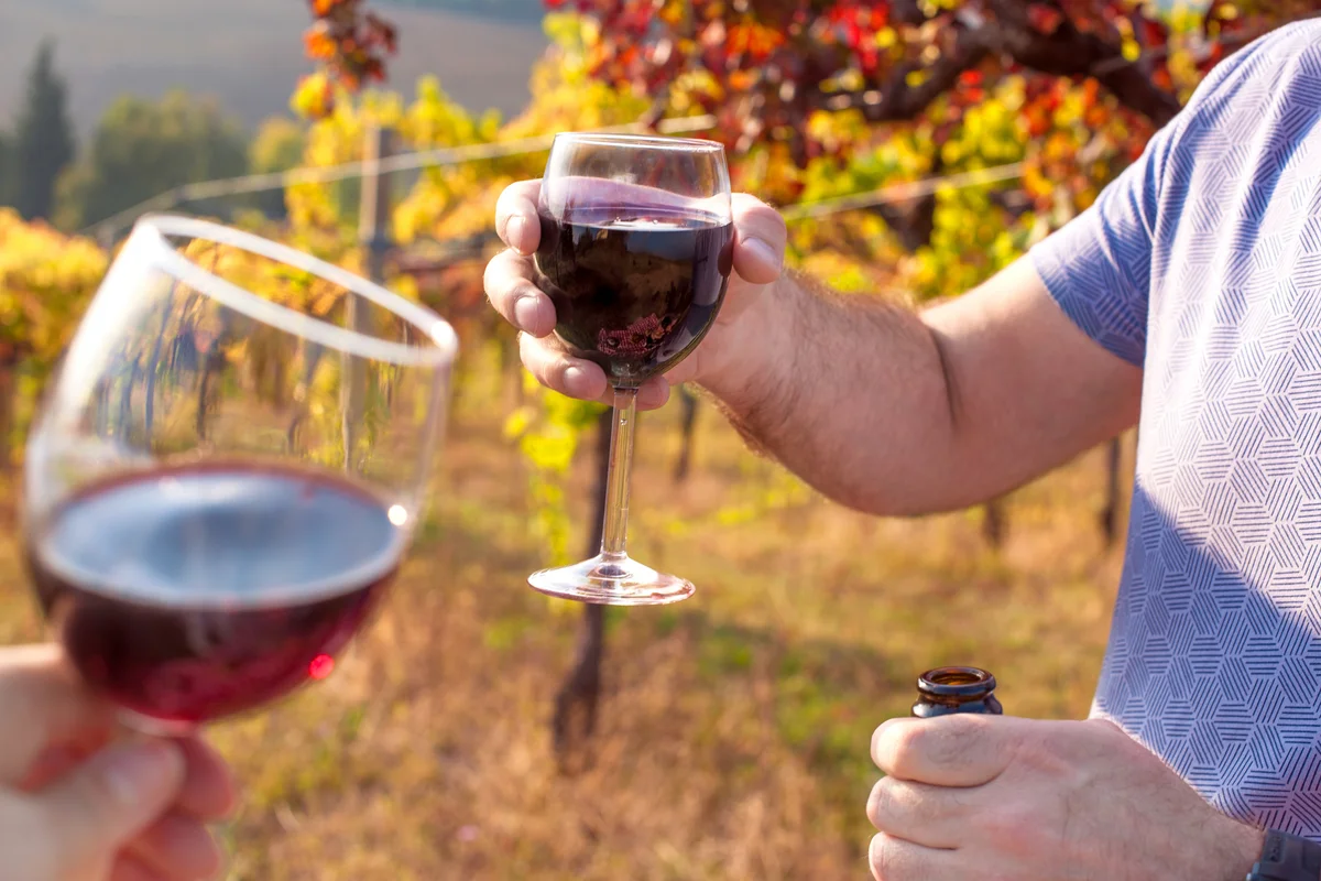 Drinking wine in a vineyard