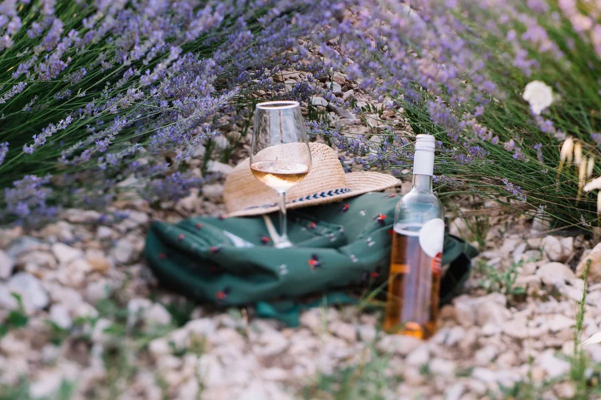 Picnic with rosé wine in lavender fields in Provence, France.