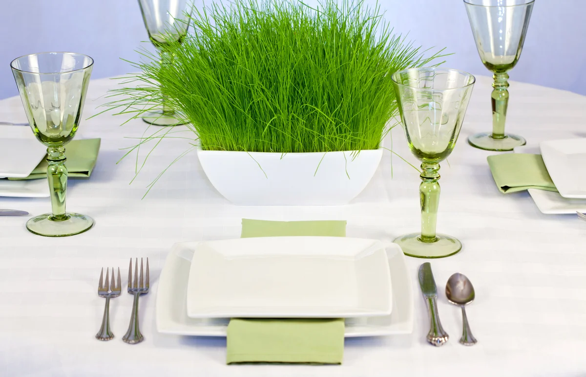 Elegant Eco-Friendly Table with Grass Centerpiece