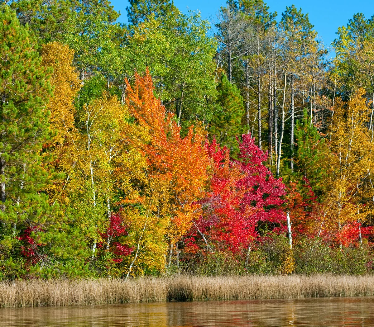 Autumn Shoreline