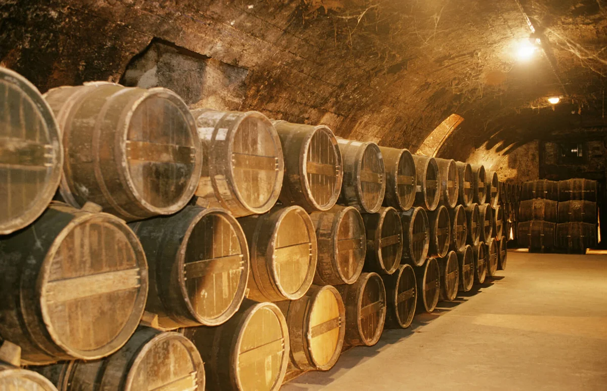 Rows of kegs in cellar
