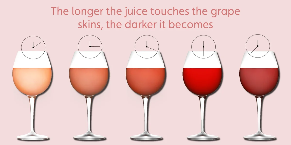 Rosé Wine Flavours and Characteristics