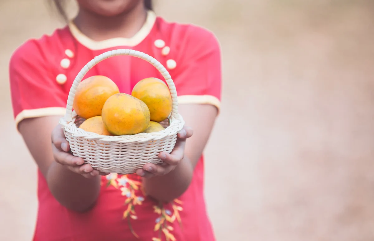 Girl holding basket of orange