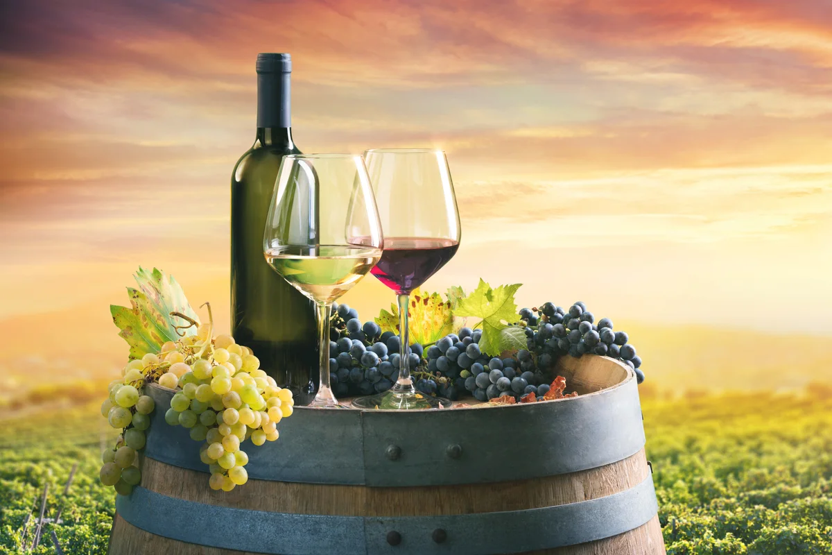 Bottle And WineGlasses On Barrel In Vineyard At Sunset