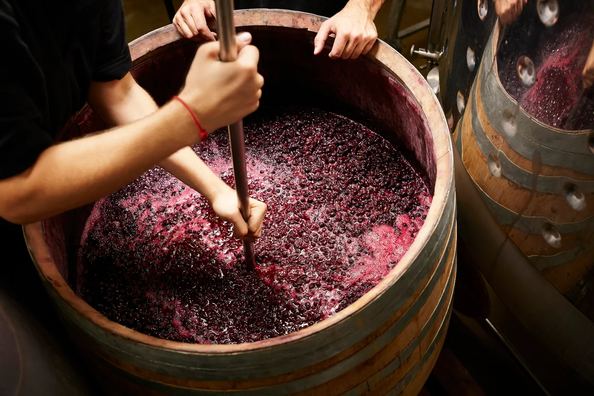 Plunging the grapes cap to extract color