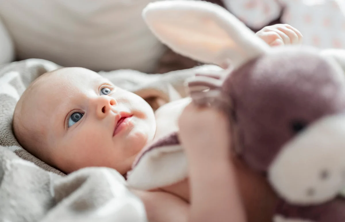 Portrait of baby boy with soft toy