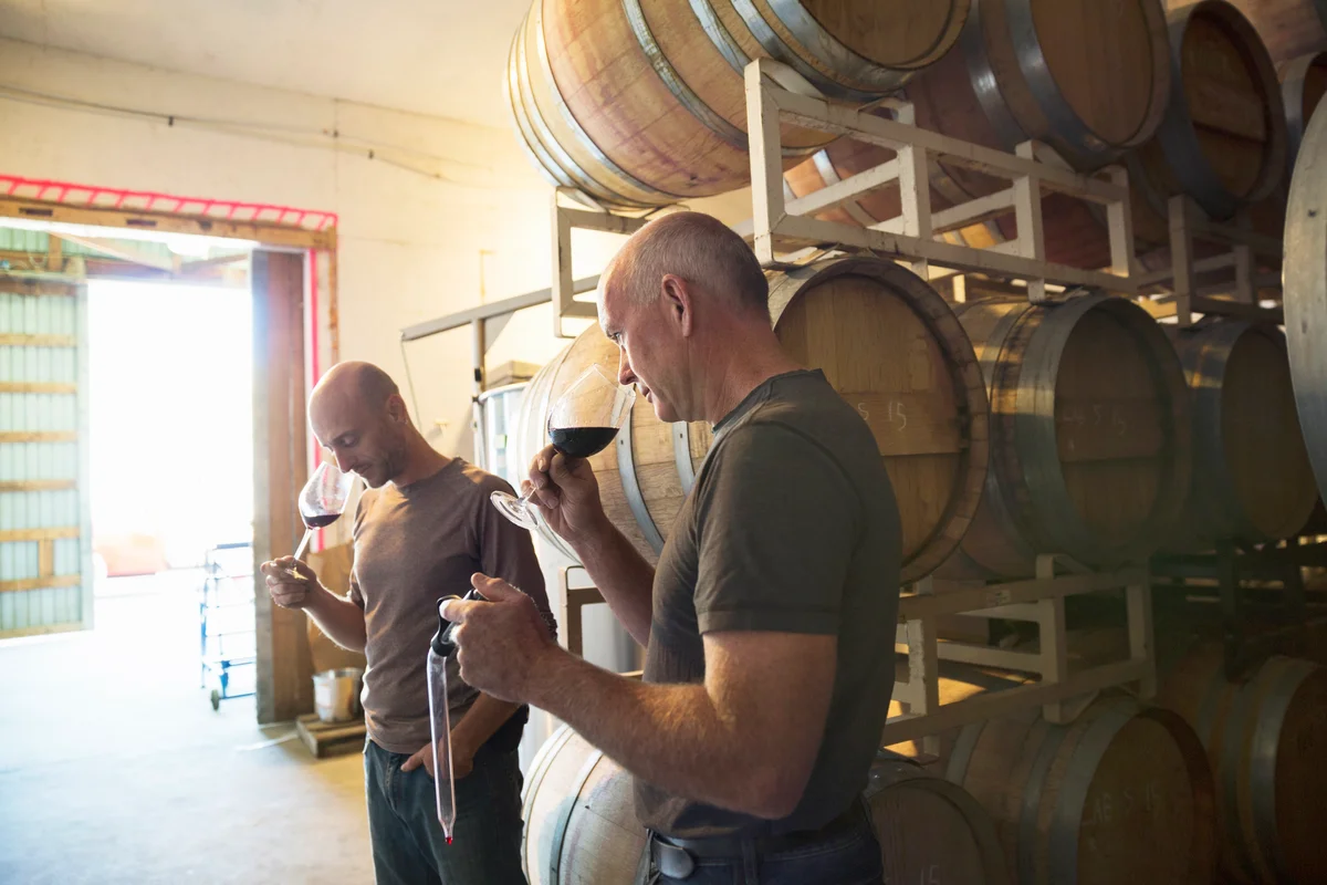 Vintners smelling and tasting red wine in winery barrel room