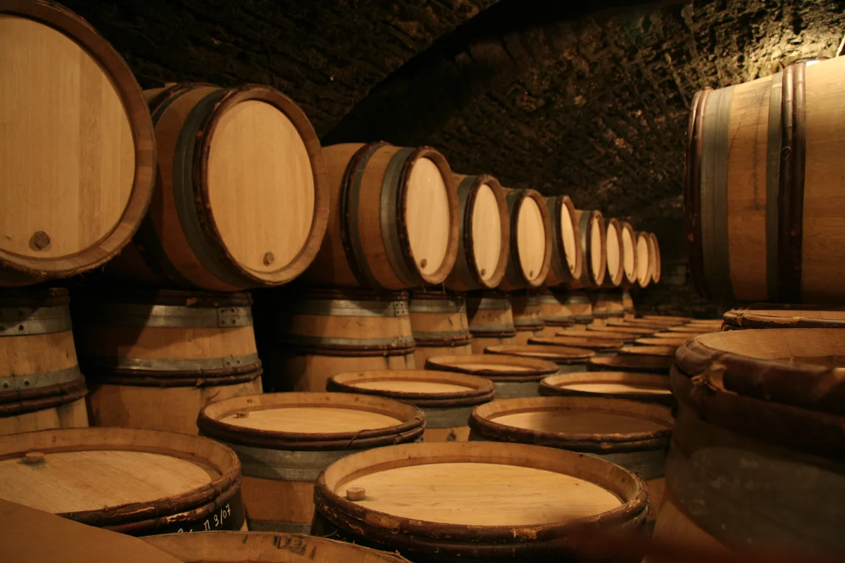 Oak wine barrels