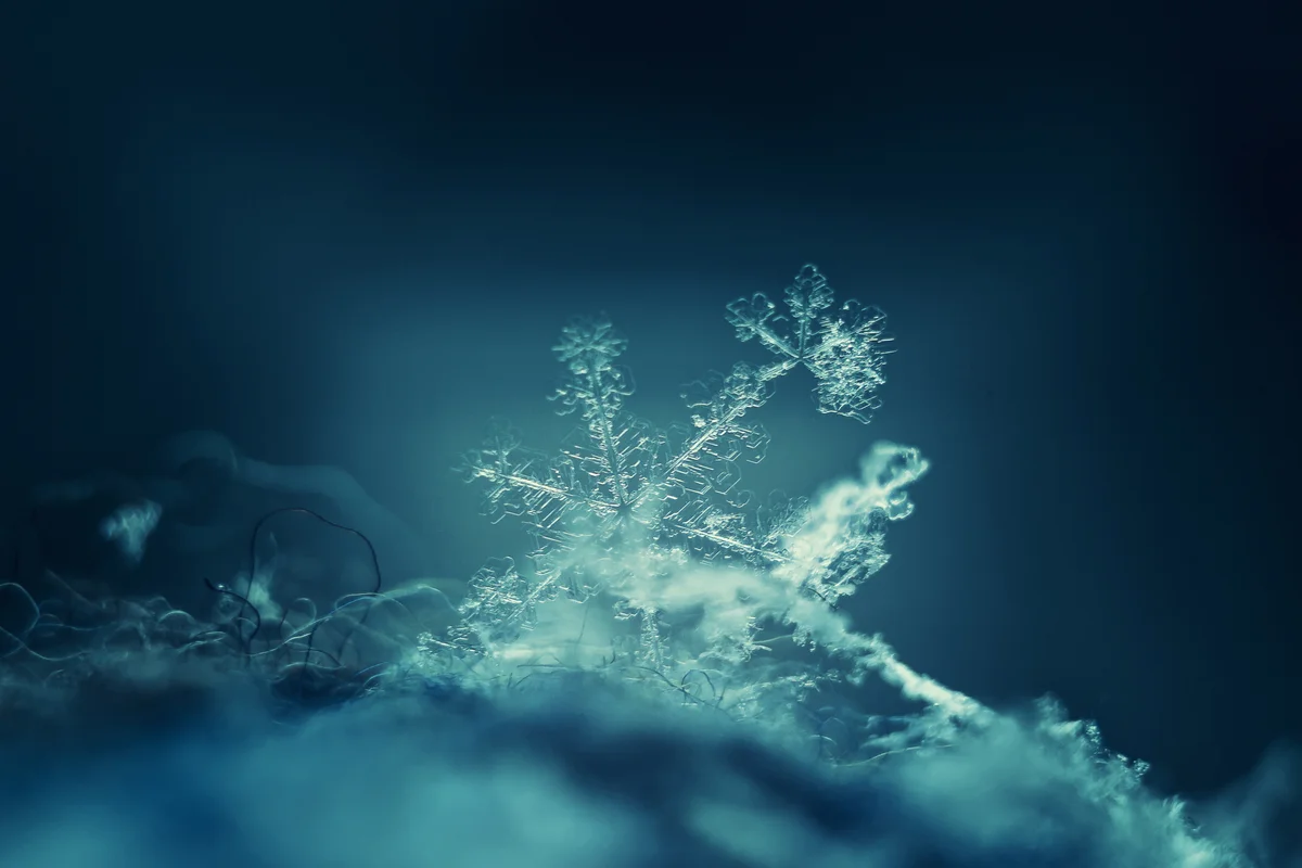close up of a snowflake